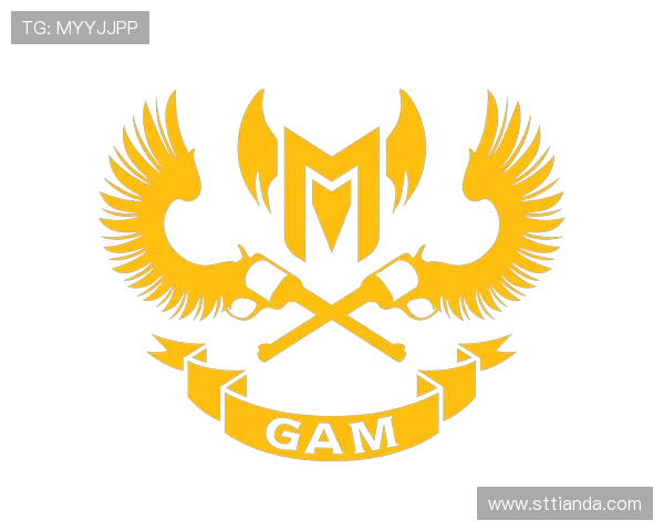 GAM Esports战队崛起之路：从挑战到荣耀的电竞征程与未来展望
